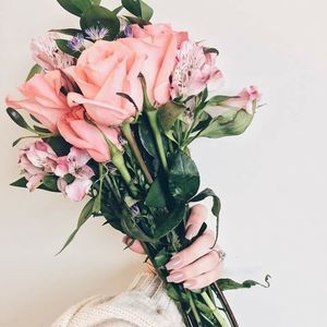 Meet your Posher, Lilia